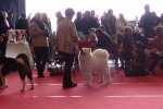 Meilleur Jeune Compiègne 2015